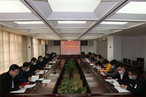 結(jié)合實(shí)際求實(shí)效  推動(dòng)工作謀發(fā)展        集團(tuán)黨支部召開會(huì)議推進(jìn)落實(shí)主題教育